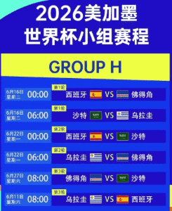 雷速体育实时直播界面